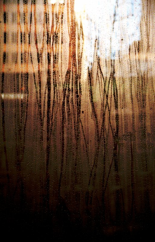 MOMA raindrops - by Tony Karp